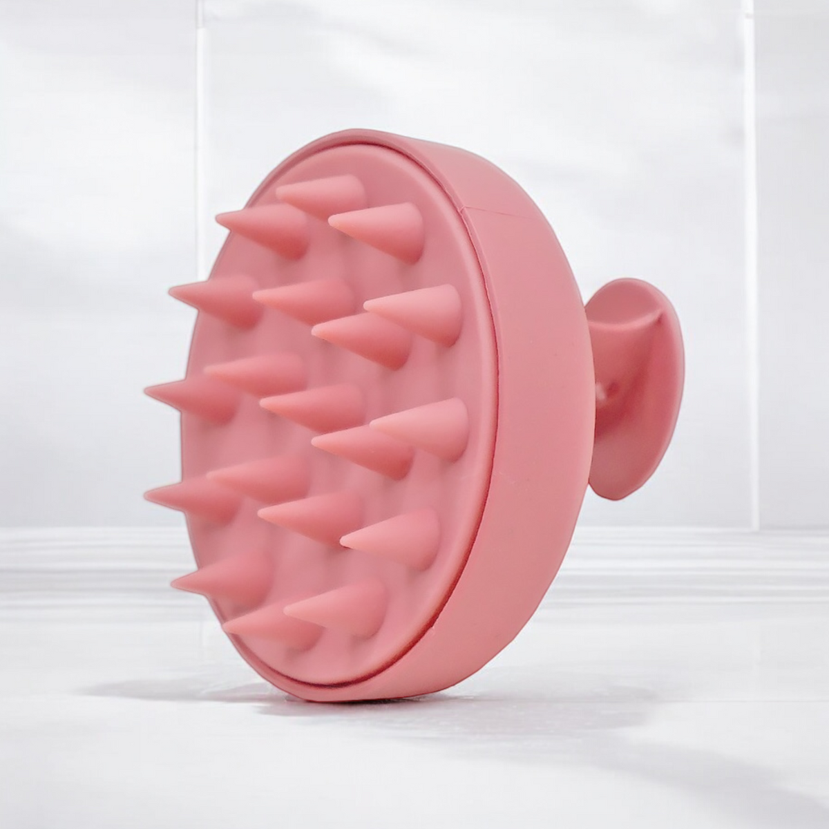 Brosse - Shampoing